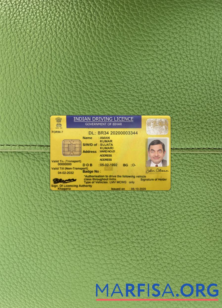 Downloadable India Bihar state driving license photolook download for verification